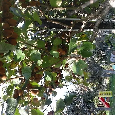Il Giardino *