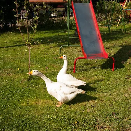 Il Giardino Sansepolcro
